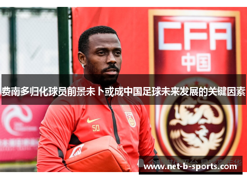 费南多归化球员前景未卜或成中国足球未来发展的关键因素