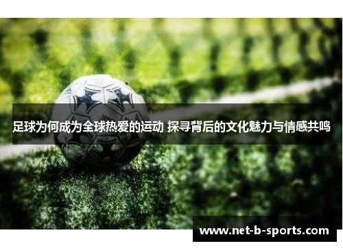 足球为何成为全球热爱的运动 探寻背后的文化魅力与情感共鸣